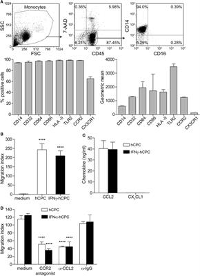 Human Cardiac-Derived Stem/Progenitor Cells Fine-Tune Monocyte-Derived Descendants Activities toward Cardiac Repair